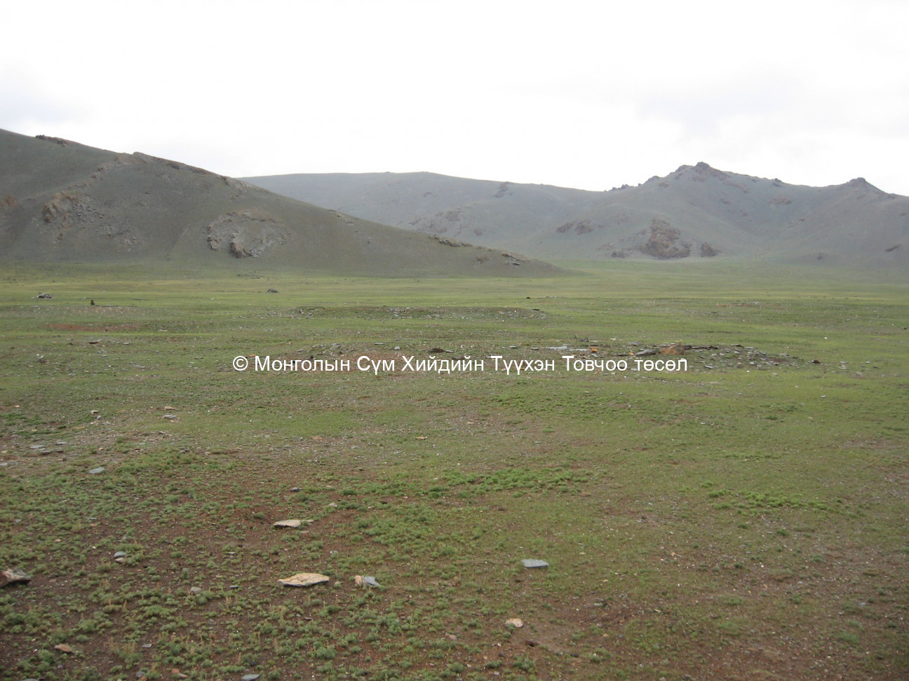 Үлдэгдэл туурь